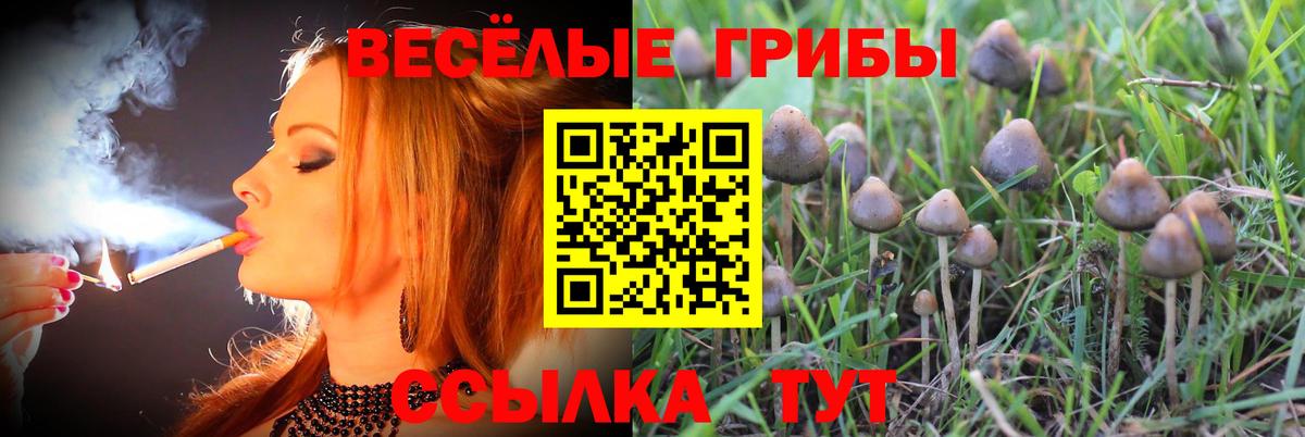Псилоцибиновые грибы Magic Shrooms  Вход с VPN  Симферополь 